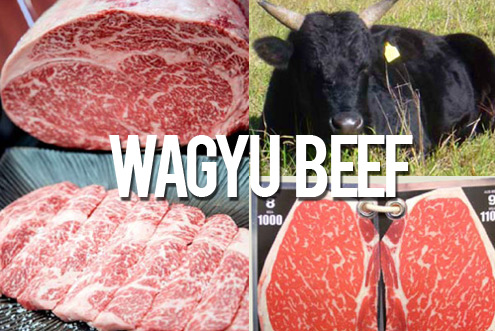 Wagyu Beef
